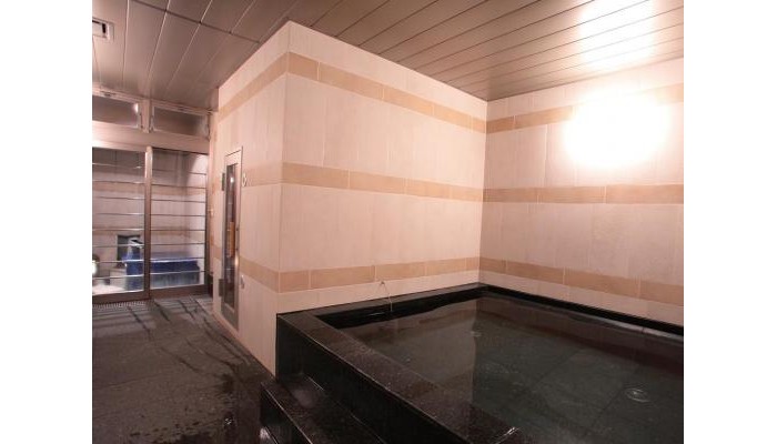 Ab Hotel Mikawa Anjo Honkan poza 6