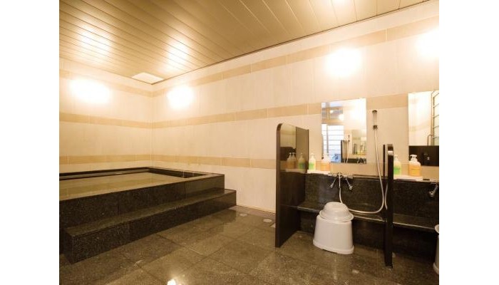 Ab Hotel Mikawa Anjo Honkan poza 4