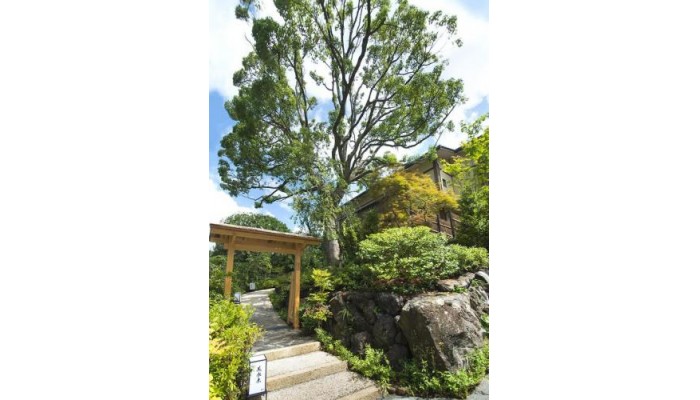 Abba Resort Zagyosoh poza 13